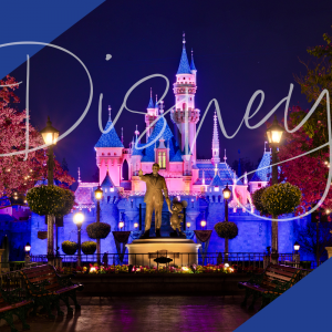 Disney World VIP