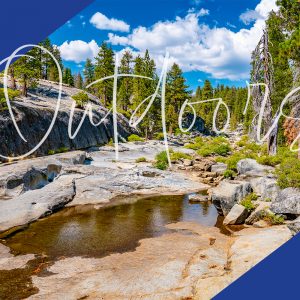 National Parks Experience