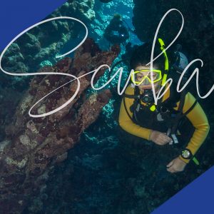 Scuba Diving Adventure