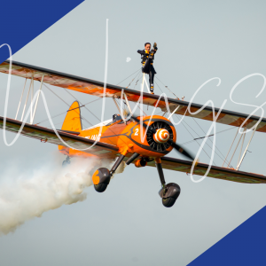 Wing Walking