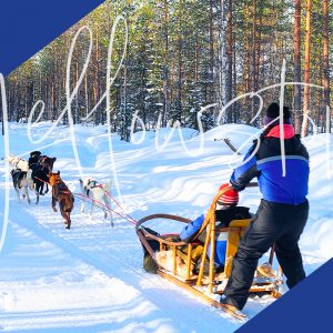 Dog Sledding in Yellowstone