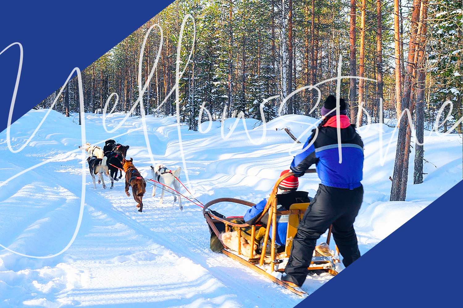 Dog Sledding in Yellowstone